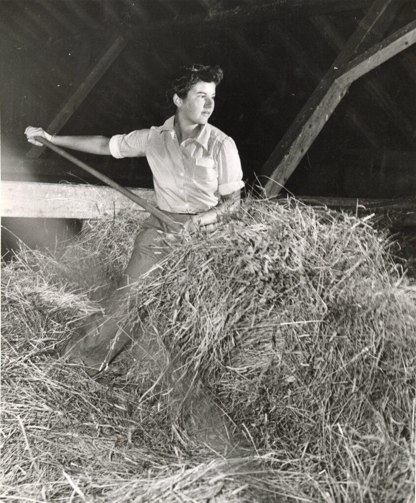 A woman lifts hay in a barn loft.