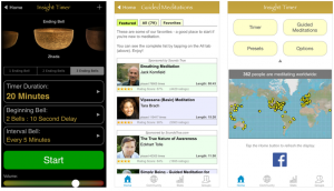 Insight Meditation Timer Review