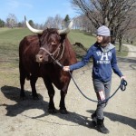 Livestock Safety