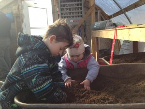 kids potting soil