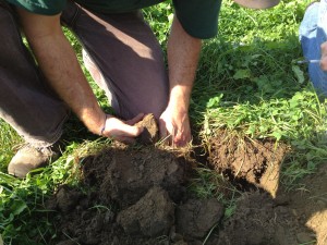 In order to really understand what's going on under the soil, you might need to get a little dirty. 