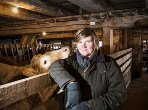 woman, barn and cow
