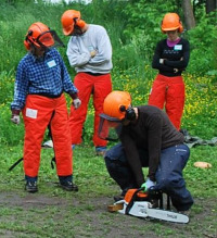 Chainsaws 101:  Safe Use and Maintenance for Beginners