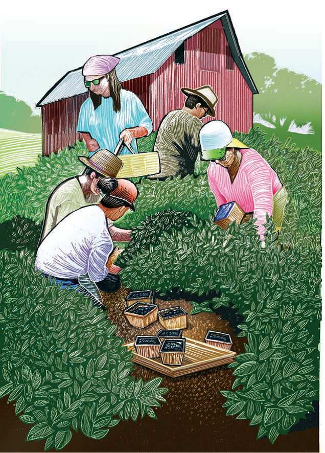 Youth Farm Safety & Adolescent Worker Guidelines