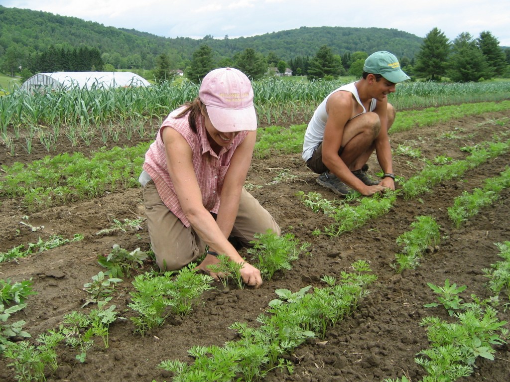 UVM Center for Sustainable Ag explores Farmers and Food Access