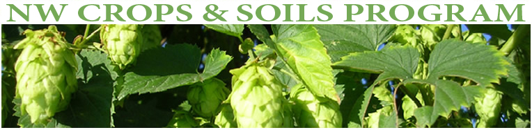 Grains & Hops Conferences