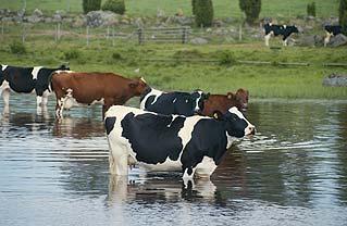 Planning for Climate Change