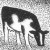Profile picture of VT Pasture Network