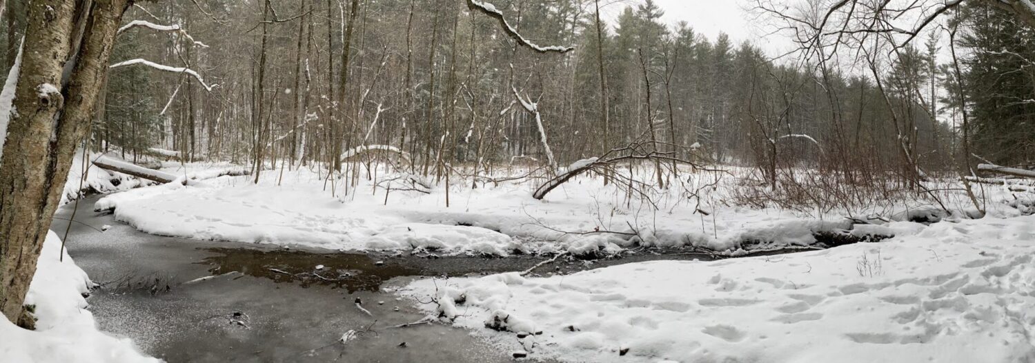 cropped-centennial-woods-panorama-scaled-1.jpeg