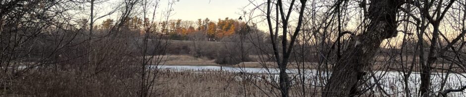 Phenology Project – Annie Faubert