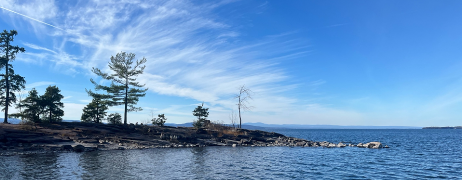 Phenology Project: Oakledge Park
