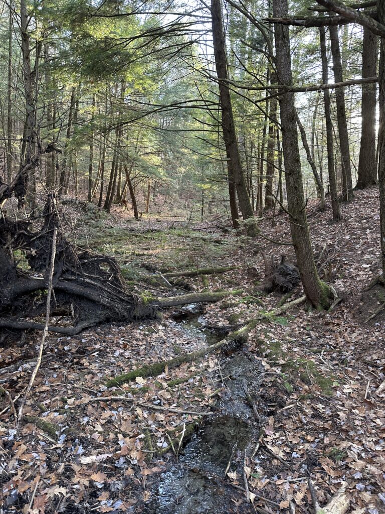 This image has an empty alt attribute; its file name is IMG_5262-768x1024.jpg