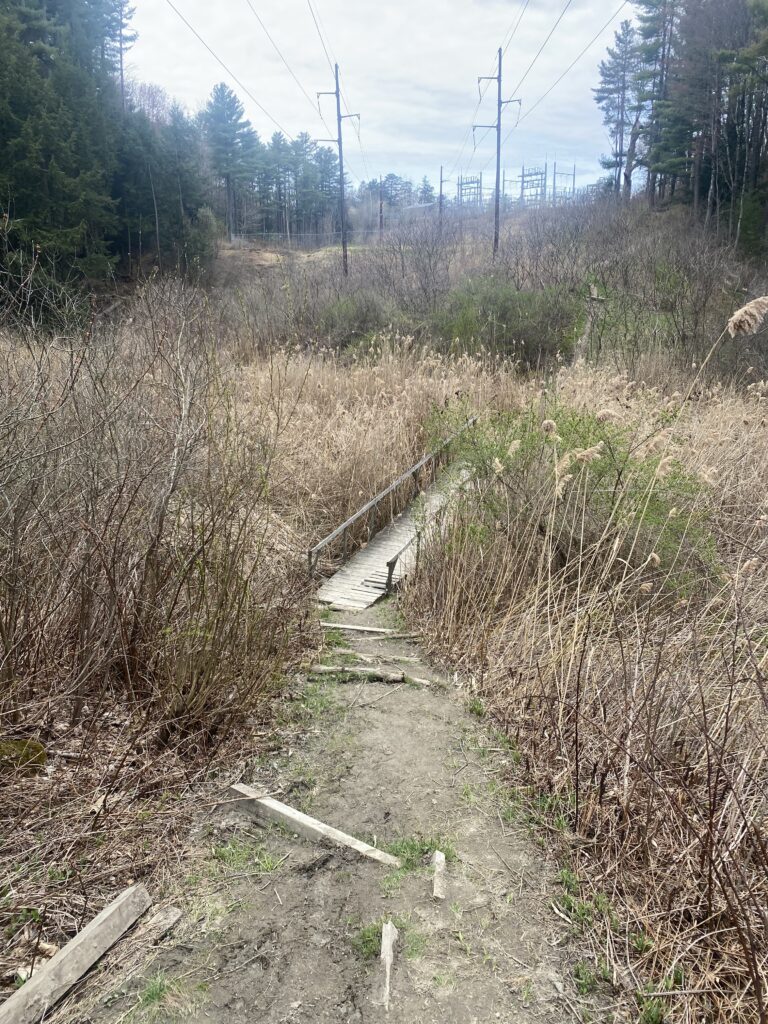 Phenology Site-Adam Ruff – A UVM blog