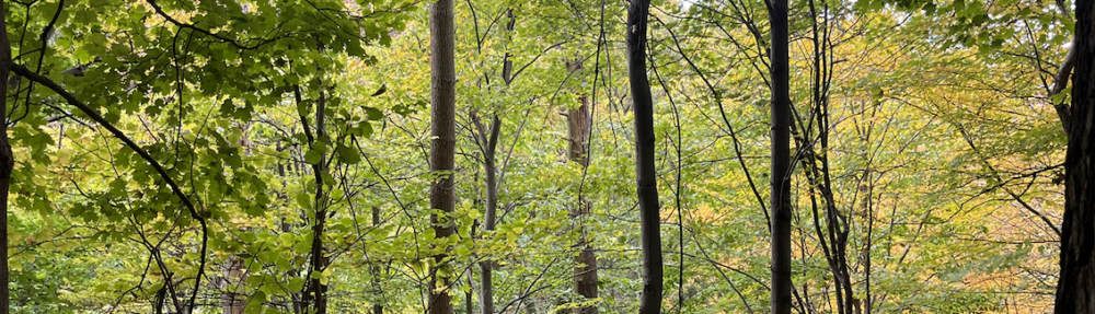 Axl's Phenology Blog – Trinity Woods