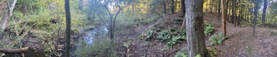 Allie’s NR1 Phenology Project