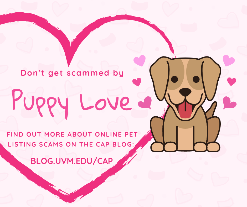 Puppy Love image warns: Don't get scammed by Puppy Love. Find out more about online pet listing scams on the CAP blog: blog.uvm.edu/cap