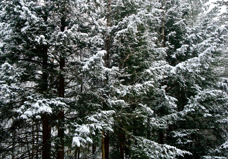 A Productive Winter Break – UVM Career Center Blog A Productive Winter Break – UVM Career Center Blog