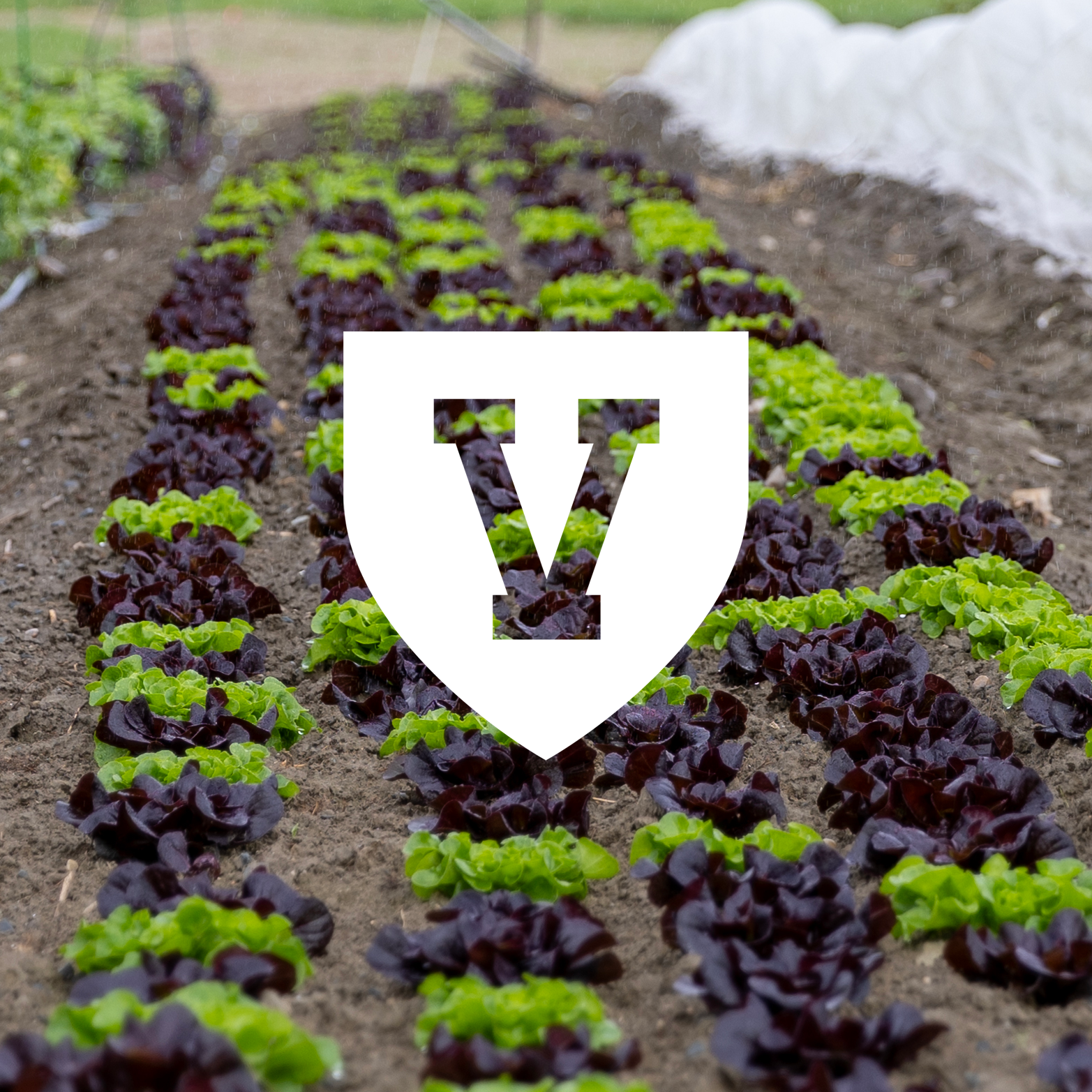 UVM Extension Commercial Horticulture