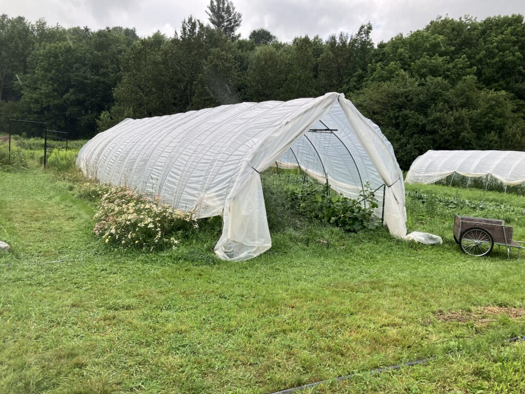 Beneficial Insect Habitat next to Caterpillar tunnel