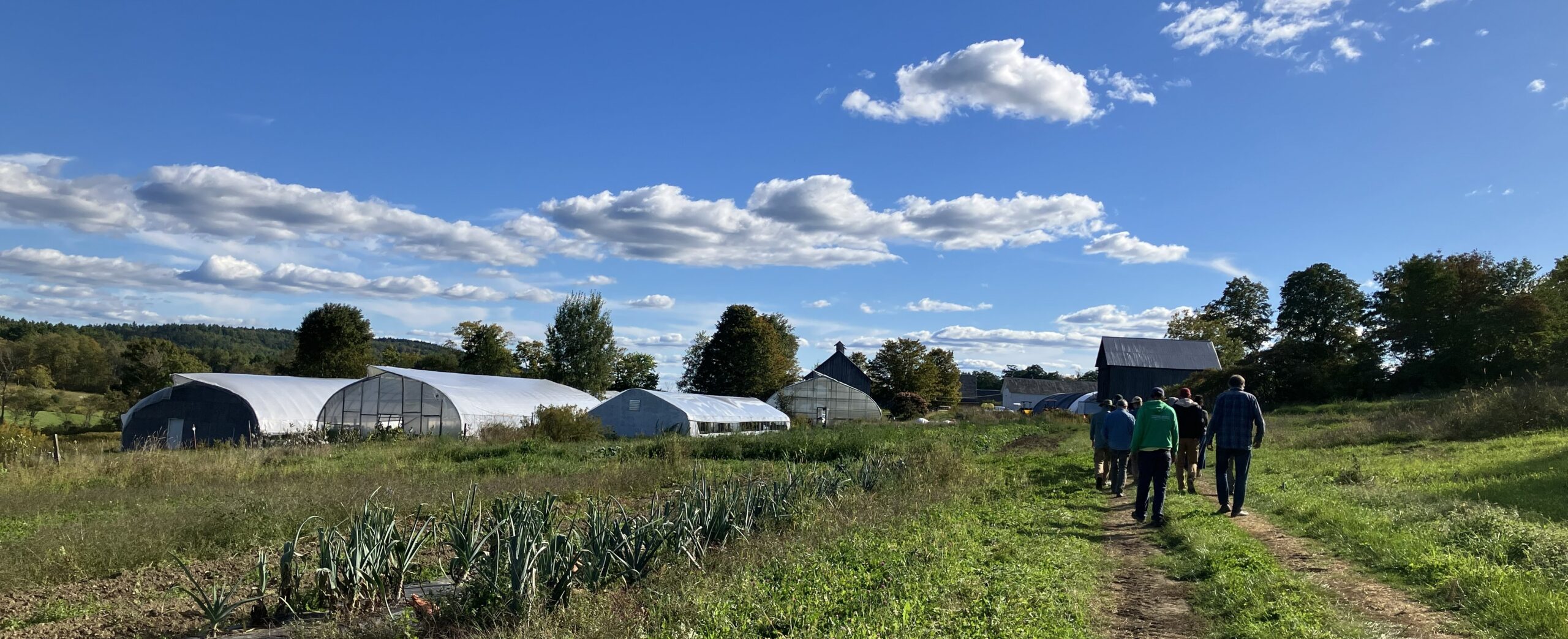 Storage Crops, Soil Health, Marketing and an Electric Tractor at High Meadows Farm