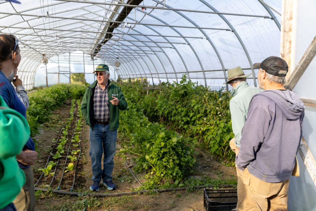Person talking in high tunnel in front of vegetable crops