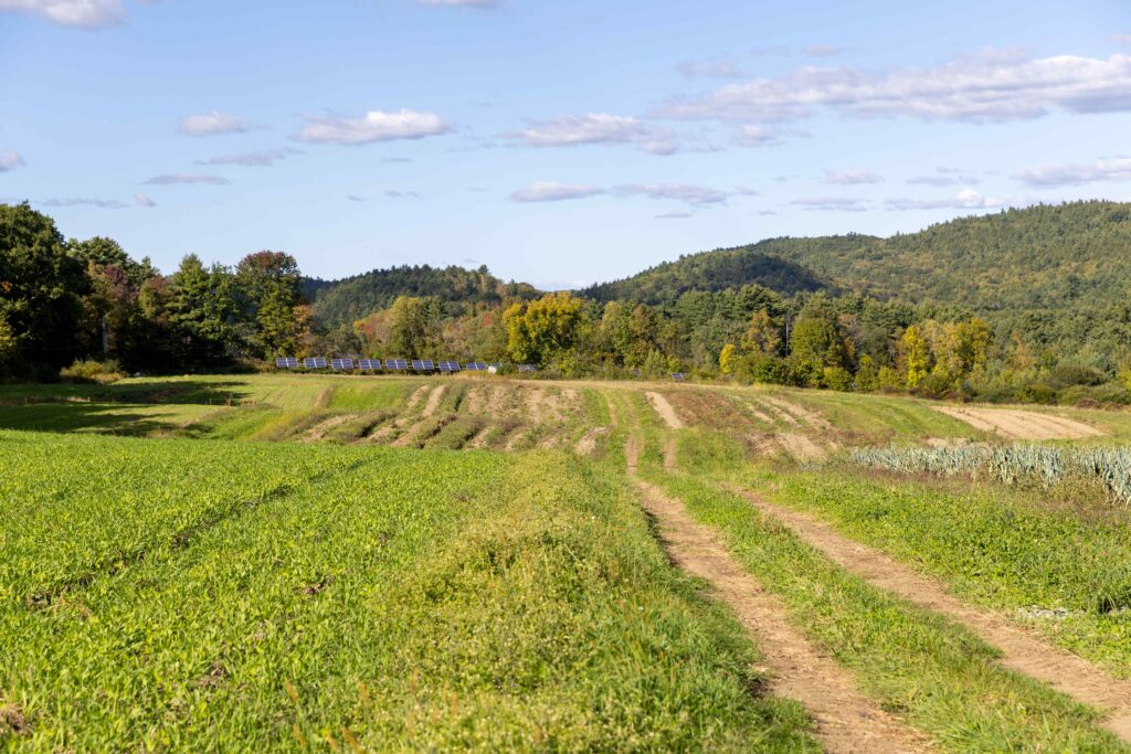 Rolling hills on vegetable farm