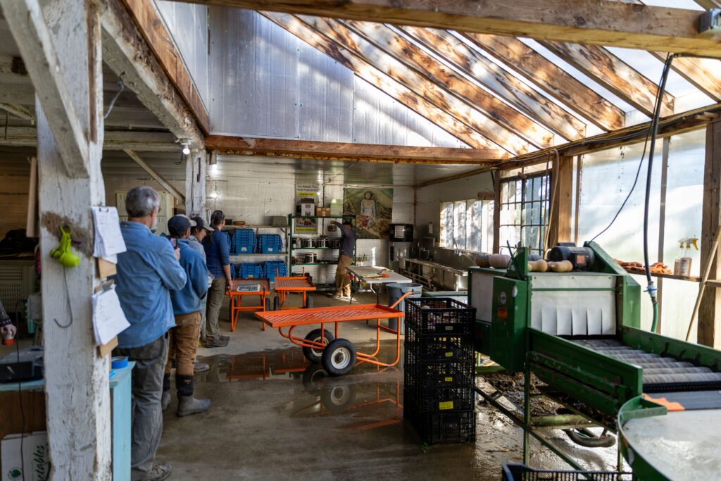 Barn interior with windows for washing and packing vegetables