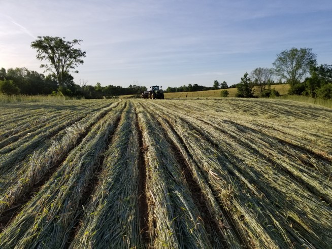 SPRING BUS TOUR SENSATION; CAN ROLLING-CRIMPING HELP MANAGE COVER CROPS ...