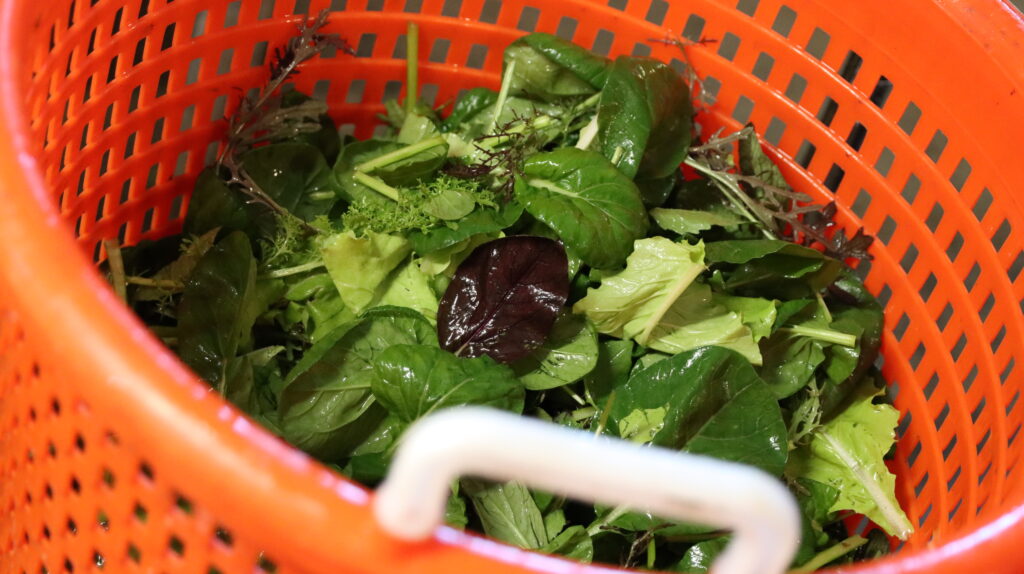 Greens Spinners for Farm Use UVM Extension Ag Engineering