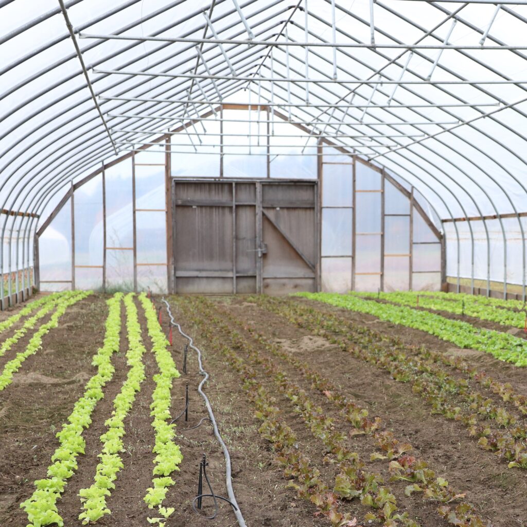 Bins, Buckets, Baskets & Totes – UVM Extension Ag Engineering