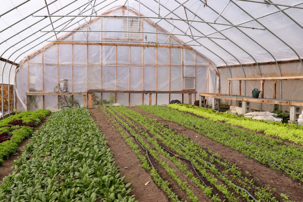 Protected Culture – UVM Extension Ag Engineering