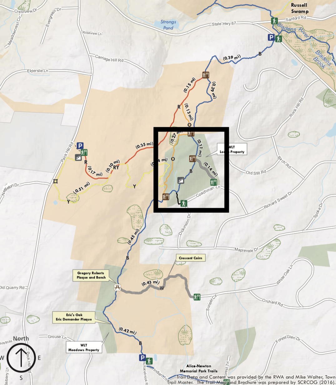 New Phenology Spot Phenology spot