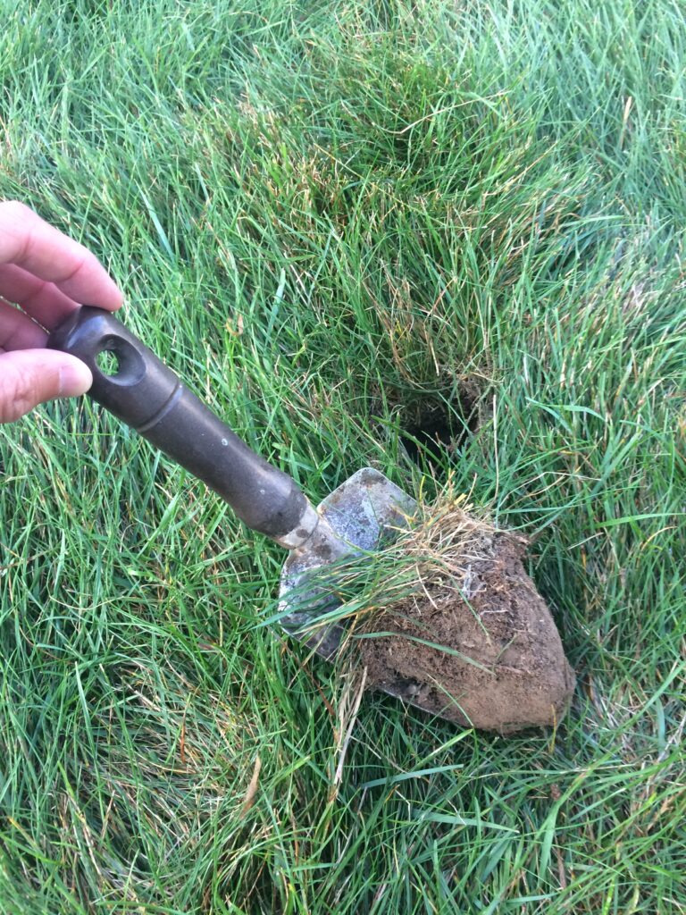 Trowel with a triangular-shaped soil sample on it.