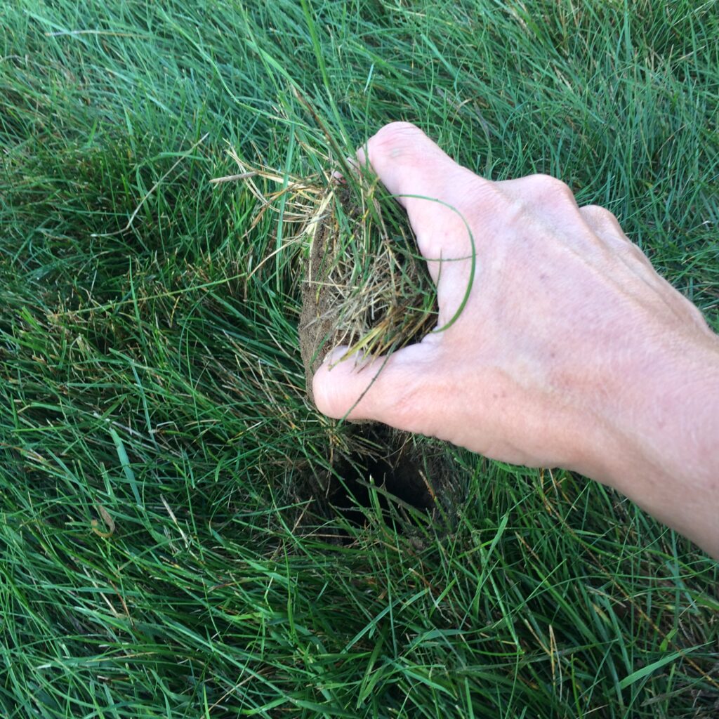 Hand replacing the triangular soil sample into the ground.