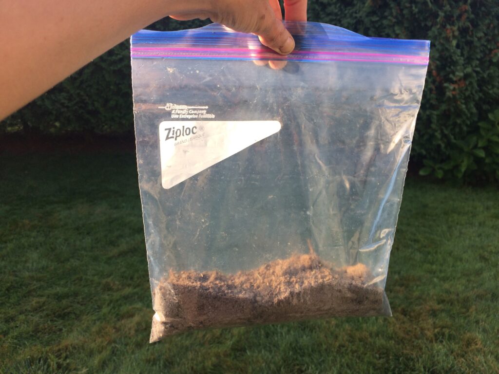 Plastic bag with combined soil sample in it.