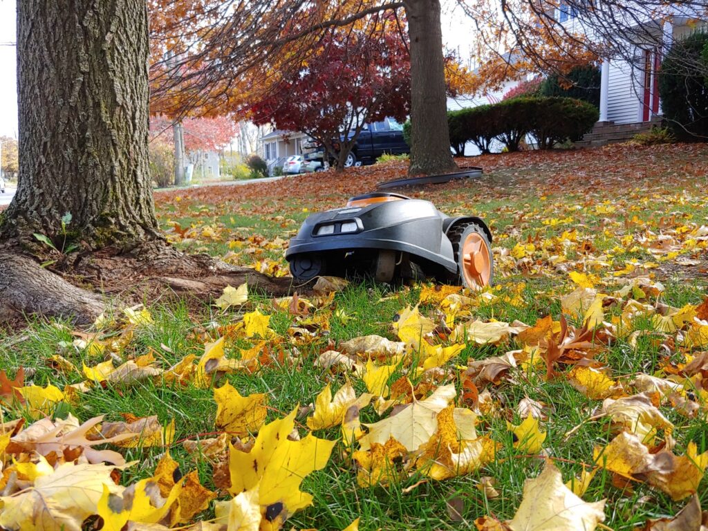 Mo the lawnmower stuck in the tree roots. 