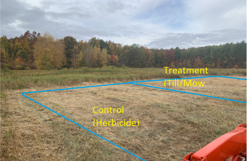 Photo of one of Stever Bartlett's research plots with the control (herbicide) and the treatment (till/mow) plots identified.