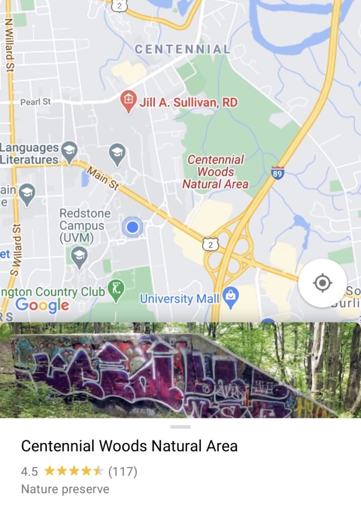 This image has an empty alt attribute; its file name is IMG_2979-1-718x1024.jpeg