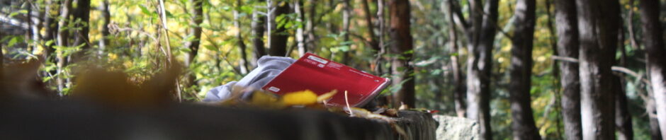 Lucas' Centennial Woods Phenology Project