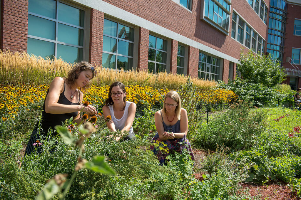 Students in the Integrative Health program at UVM