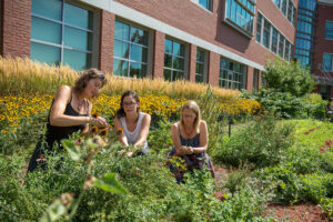 Students in the Integrative Health program at UVM