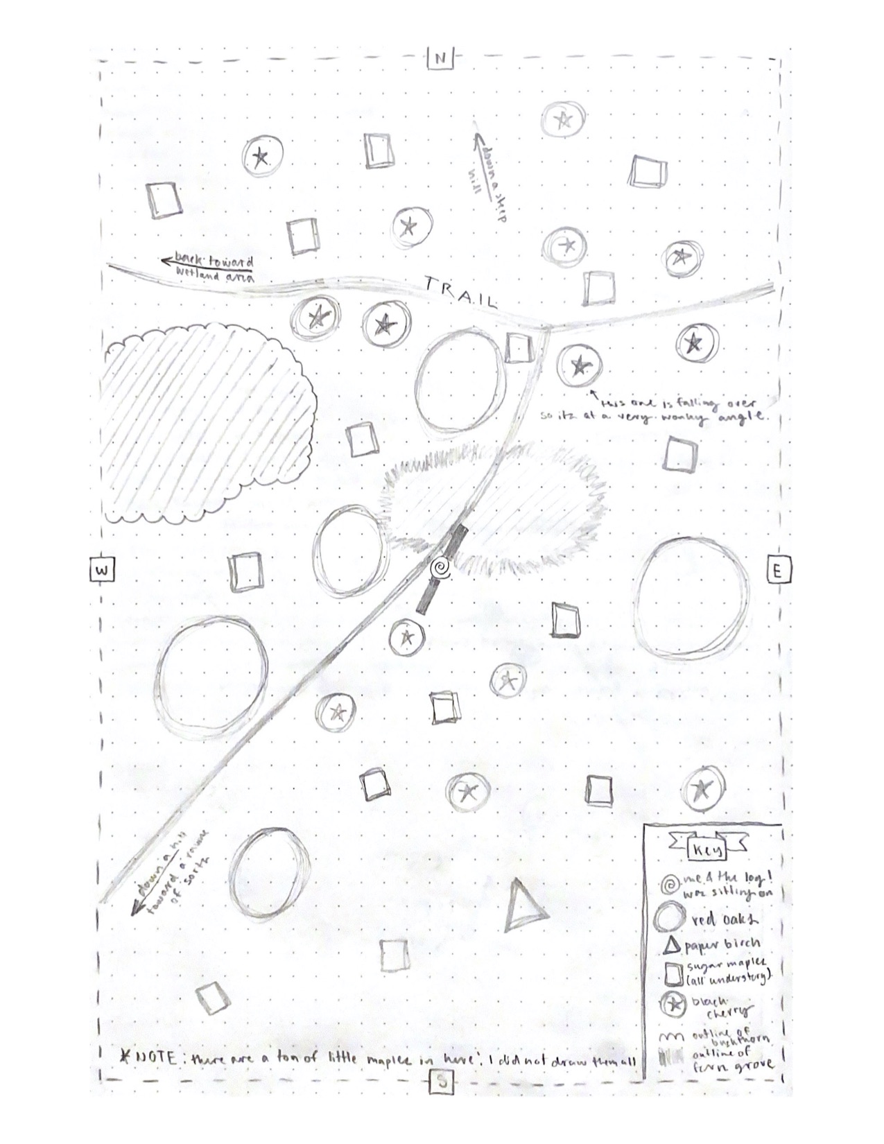 November 1st, 2021 – Centennial Woods Phenology Spot 2021-2022