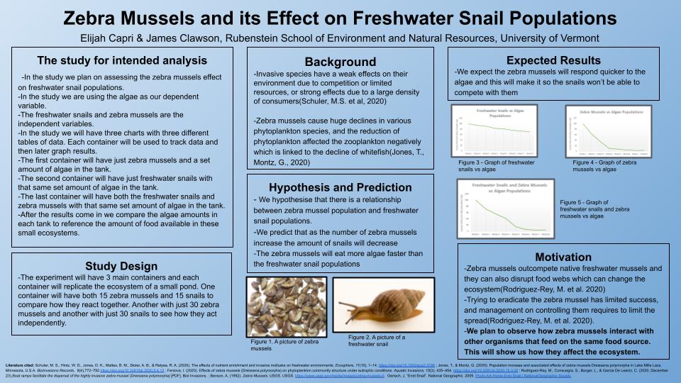 Zebra Mussels and its Effect on Freshwater Snail Populations NR 103