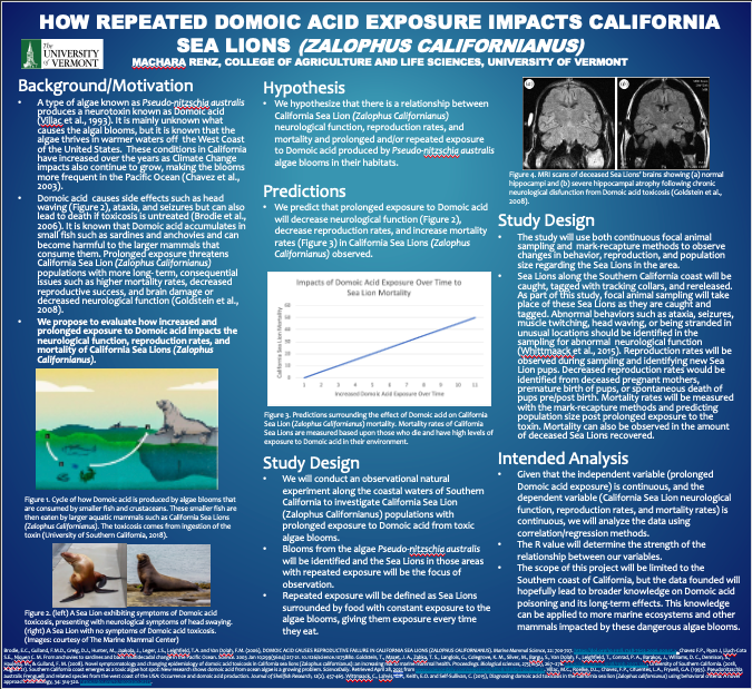 How Repeated Domoic Acid Exposure Impacts California Sea Lions