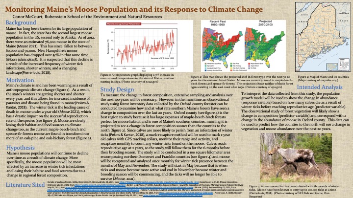 Monitoring Maine’s Moose Population and its Response to Climate Change 