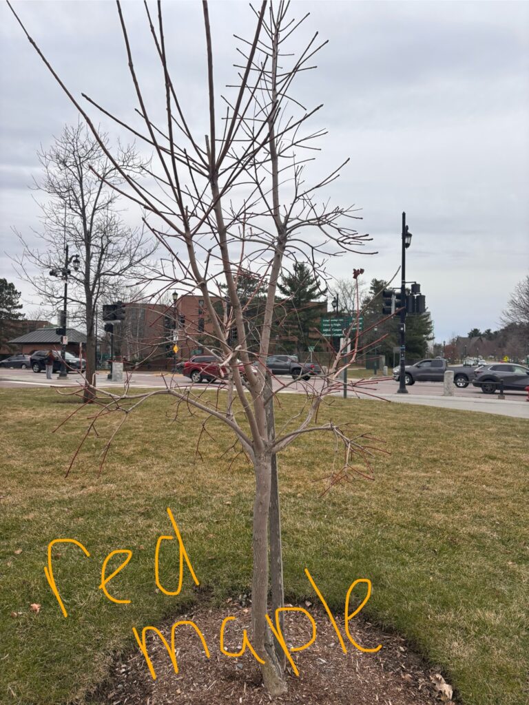 This image has an empty alt attribute; its file name is IMG_0092-768x1024.jpg