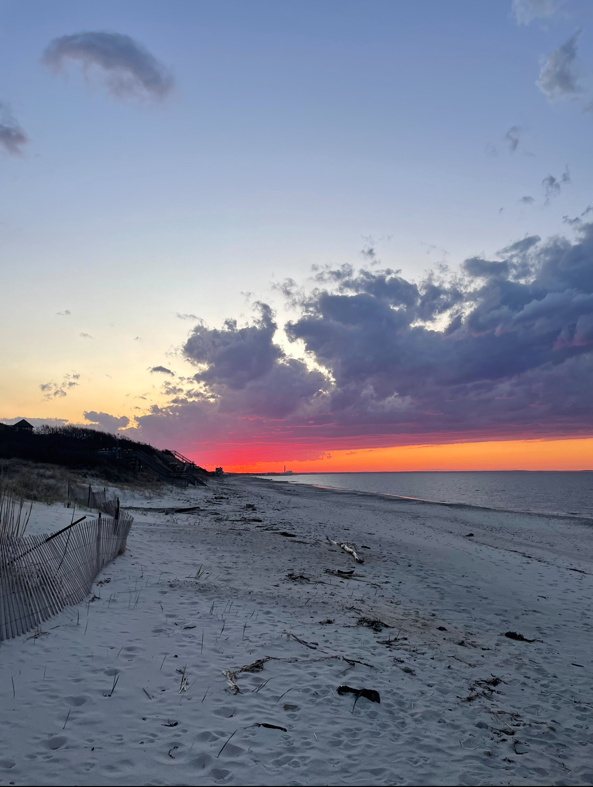 Phenology of Sandy Neck