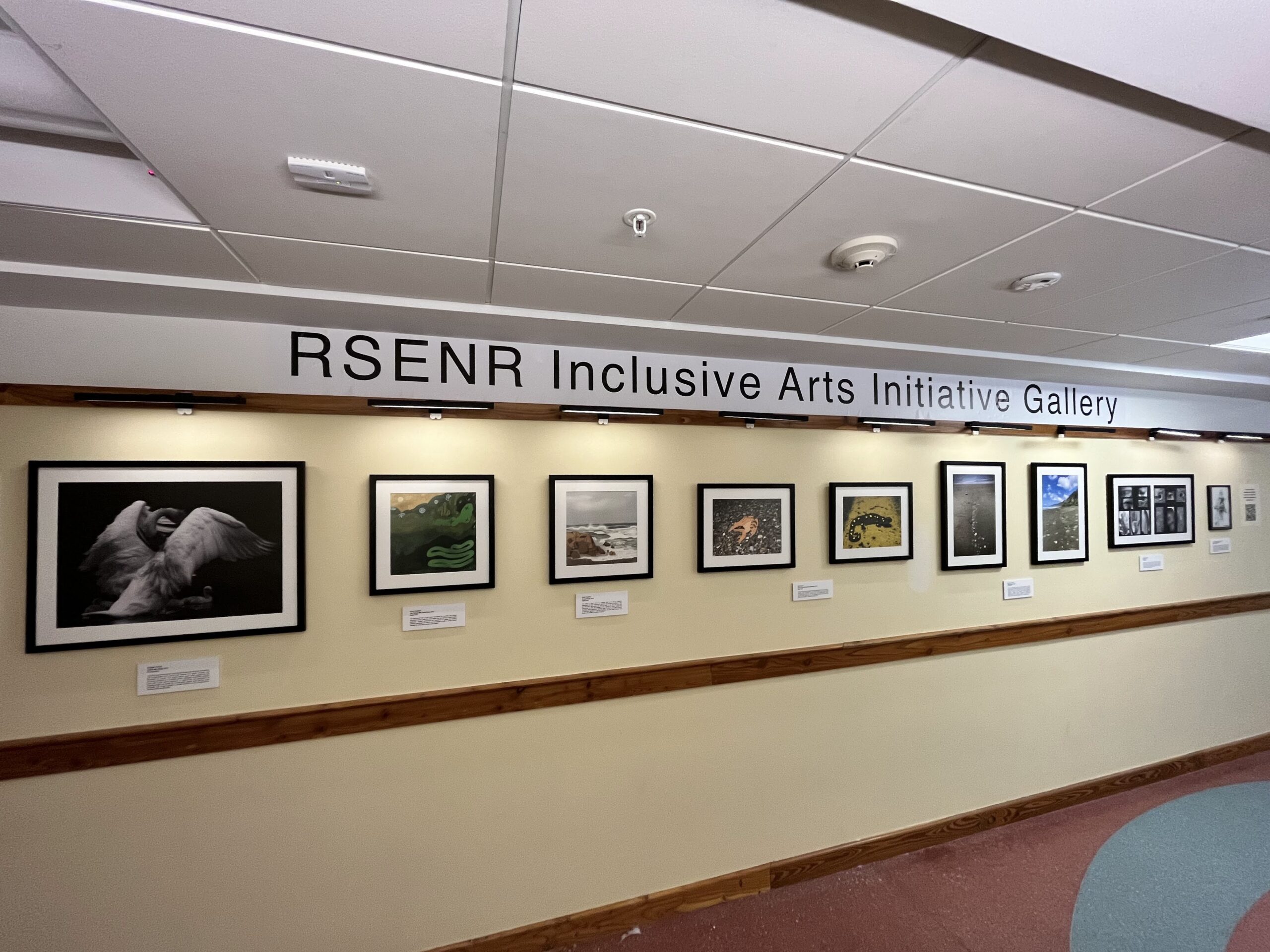 Photograph of the Rubenstein School Inclusive Arts Initiative Gallery in the Aiken center at UVM. Nine pieces of mixed media artwork are framed and displayed on the wall.