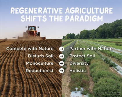 https://www.thegreendirectory.net/wp-content/uploads/2019/07/RegenerativeAgrictulture-1024x818.jpg