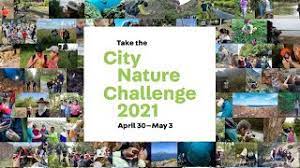 City Nature Challenge – City Nature Challenge
